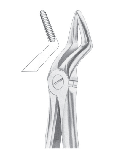 Extracting Forceps English Pattern